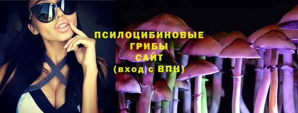 эйфоретик Алексин