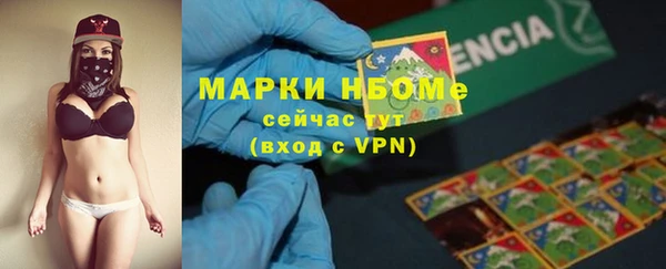 спиды Новодвинск