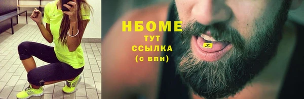 индика Абинск