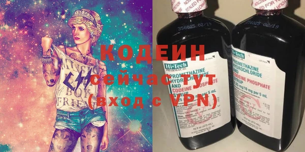 ECSTASY Алзамай