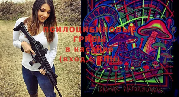 a pvp Алексеевка