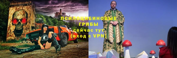 a pvp Абаза